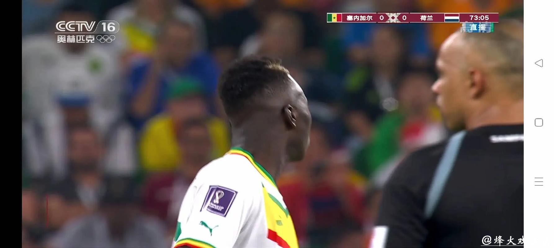 世界杯直播：随时随地看精彩比赛